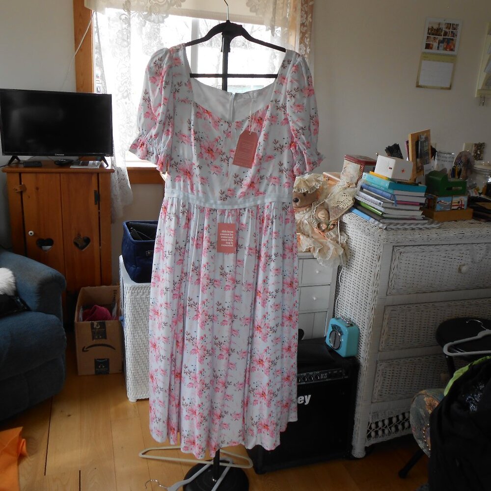 IVY CITY CO BALLERINA DRESS-LIGHT BLUE FLORAL-NWT